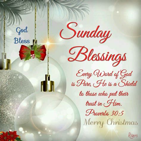 Christmas Blessings Quotes - ShortQuotes.cc