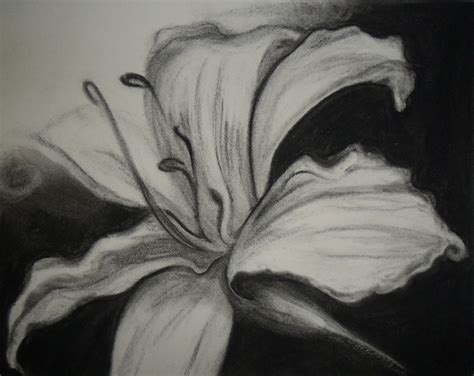 Charcoal Pencil Drawing Flowers - bestpencildrawing