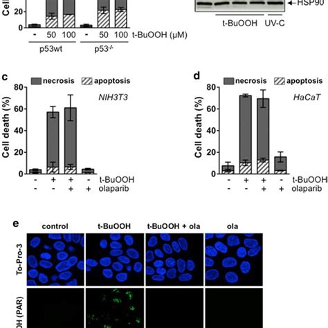 T Buooh Induces An Increase In Lipid Peroxidation And Cytosolic Ros