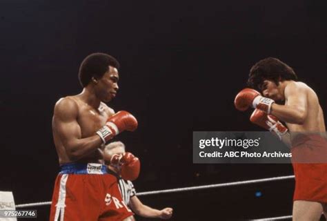 Veteran Boxer Photos And Premium High Res Pictures Getty Images