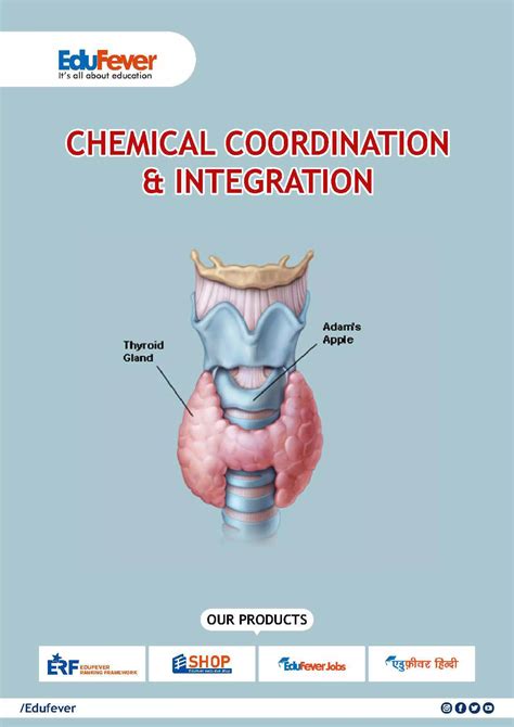 Chemical Coordination Integration Biology Revision Notes Pdf