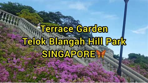 Terrace Garden Telok Blangah Hill Park In Singapore Exploring The