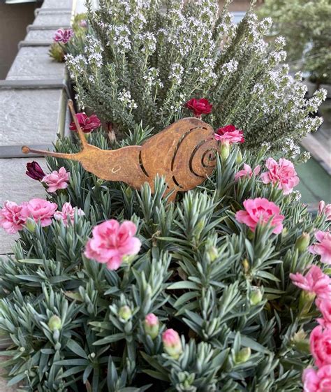 Rusty Snail Plant Stake Garden Decoration Rusted Snail Garden Art