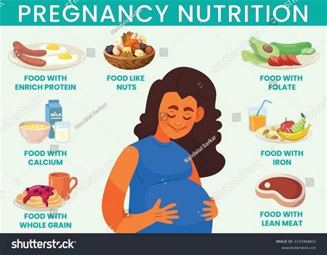 Nutrition Infographics Pregnant Woman Healthy Diet Stock Vector (Royalty Free) 2137468831 ...