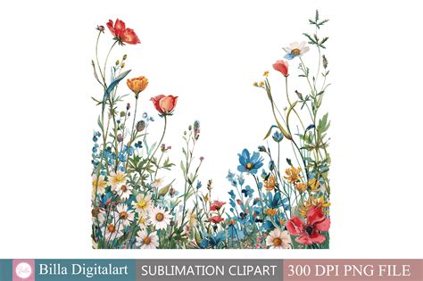 Free Wild Flowers Floral Border Clipart Graphic by BillaDigitalart ...