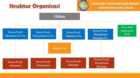 Struktur Organisasi Fakultas Ekonomi Dan Bisnis