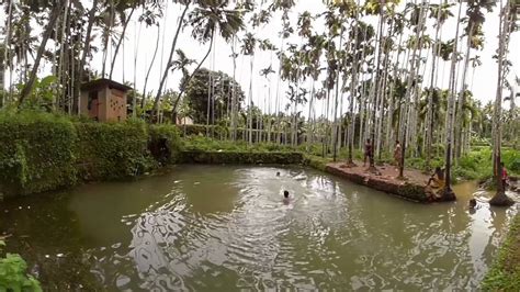 Swim In Natural Pool Kerala Village View Youtube