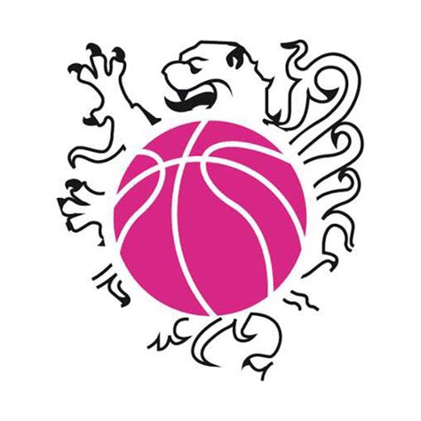 Arras Pays Dartois Basket Feminin Office Des Sports D Arras