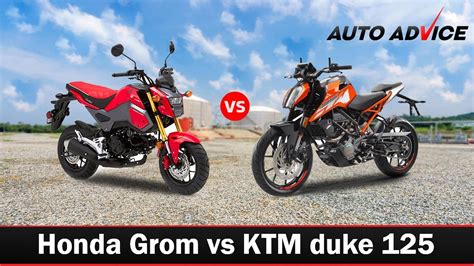 Honda Grom Vs Ktm Duke Autoadvice Youtube