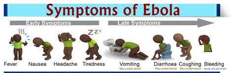Ebola Symptoms Bleeding at Lisa Post blog
