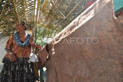 Kain Tradisional Berbahan Kulit Kayu Antara Foto