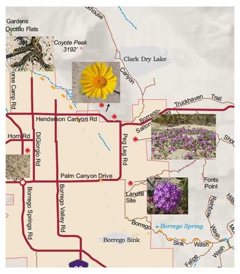 Anza Borrego Desert State Park Wildflower Reports Desertusa Borrego Springs Location Map