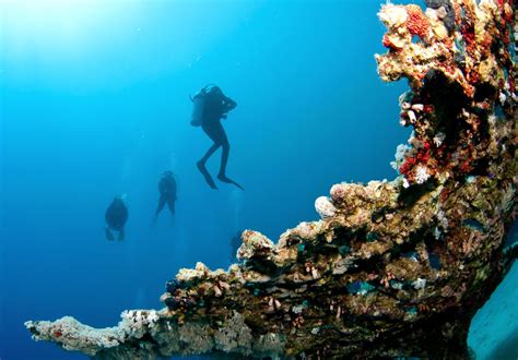 6 Best Places for Scuba Diving in Andaman (2019) - The Land of Beauty