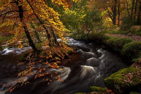 Dartmoor Landscape Photography By David Gibbeson