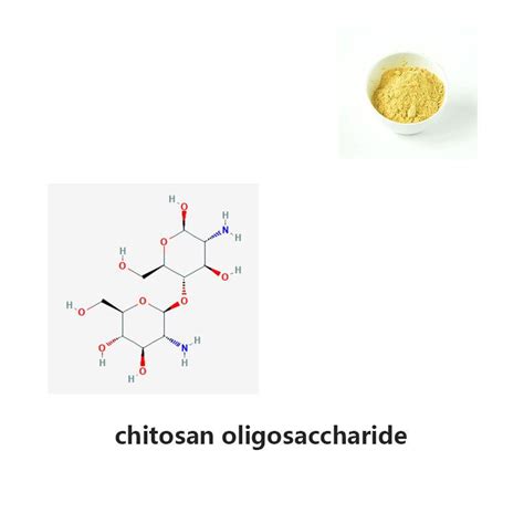 What Are The Functions Of Chitosan Oligosaccharide Blog Xian