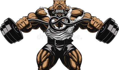 Angry Dog Bodybuilder Stock Vector Illustration Of Fangs 86648694