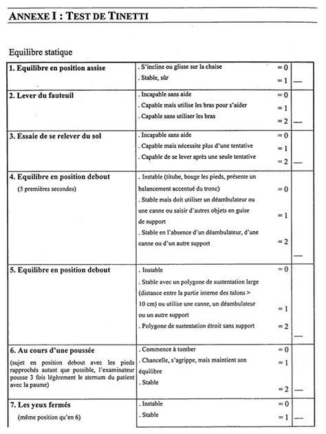 Printable Tinetti Test One Page