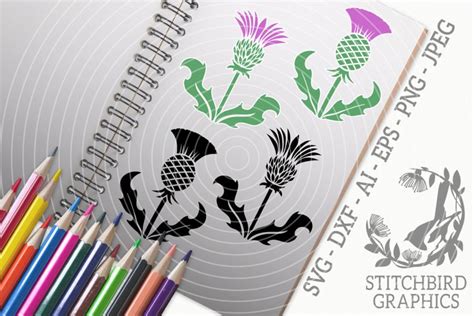 Scottish Thistle Bundle Svg Silhouette Studio Cricut Eps