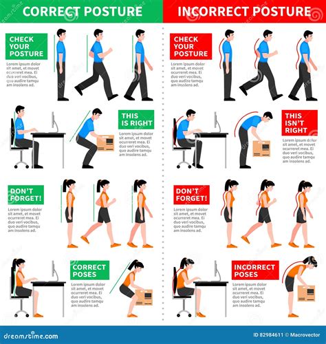 Correct Sitting Posture. Vector Infographics Cartoon Vector ...