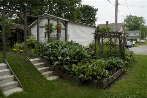 Cool How To Make A Wonderful Vegetable Garden In The Terrace Ideas