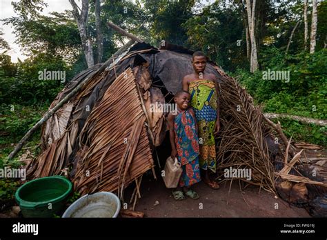 Bayaka Pygmies In The Equatorial Rainforest Central African Republic