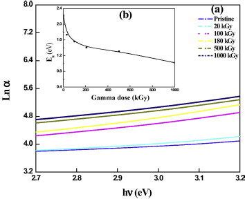 Relation between the absorption coefficient ln α and the photon