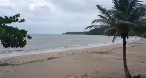 Baignade temporairement interdite sur la plage des Raisiniers à Trinité