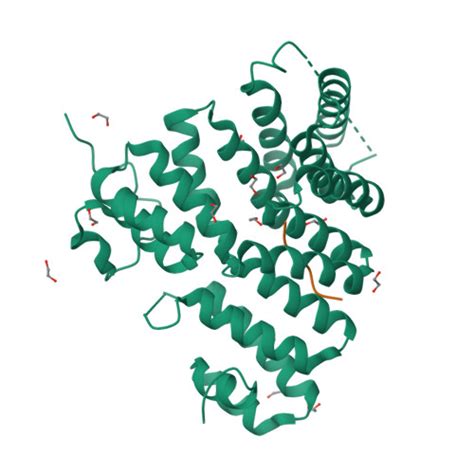 RCSB PDB 3CV0 Structure Of Peroxisomal Targeting Signal 1 PTS1