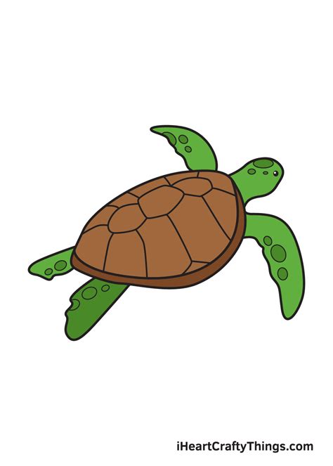 Realistic Turtle Drawing Outline Bonslugares Wallpaper