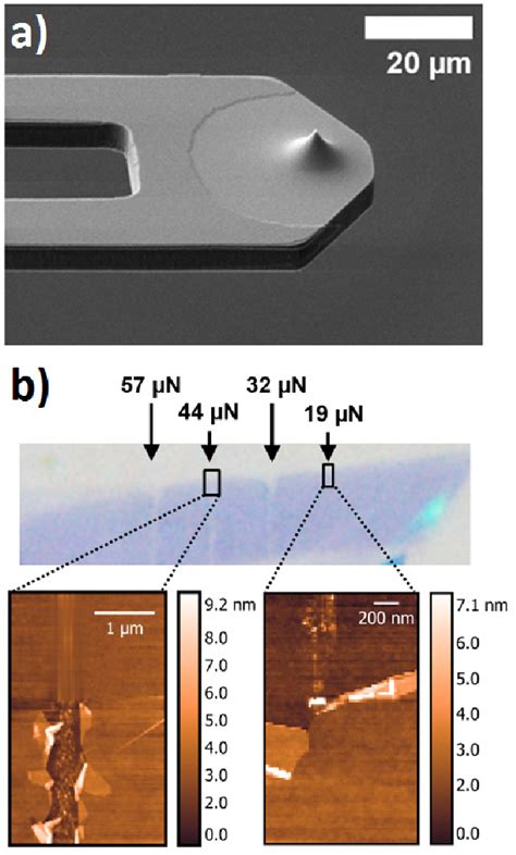 A Scanning Electron Micrograph Of The Used Piezoresistive Cantilever