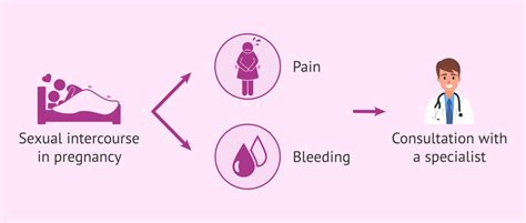 Sexual Intercourse In Pregnancy