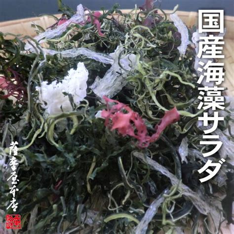 国産海藻サラダ7種ミックス 100g （国産原料100％・乾燥タイプ） 〜くきわ味は芸術 「薩摩屋本店」のページ【ひもづけcom】