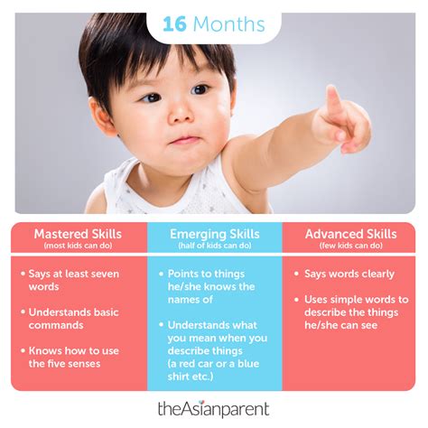 16 Month Old Baby Developmental Milestones, 59% OFF