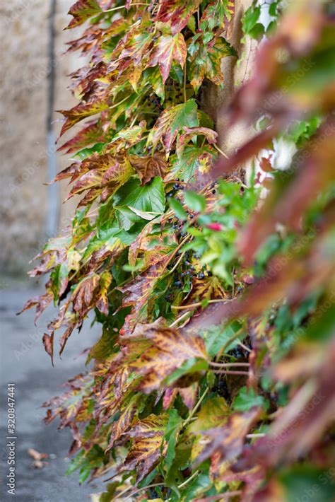 Lourmarin En Provence Dans Le Vaucluse Lu Plus Beau Village De France