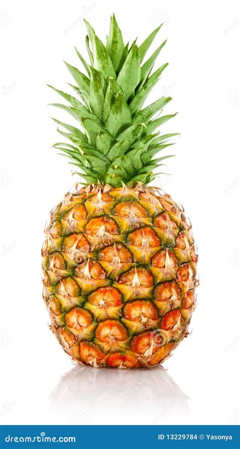 Ananas Royalty-Free Stock Photo | CartoonDealer.com #8201853