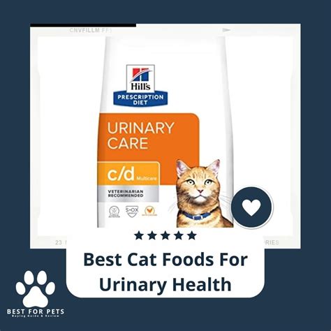 Here Are The Best Cat Foods For Urinary Health