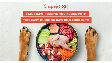 How Do I Start Raw Feeding My Dog