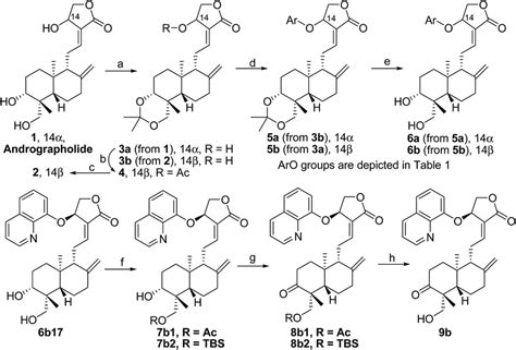 Reagents And Conditions Andro Andrographolide A Anhydrous Dcm Download Scientific