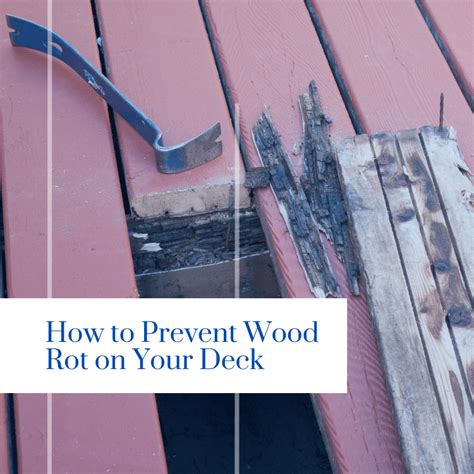 How To Protect Your Deck From Wood Rot