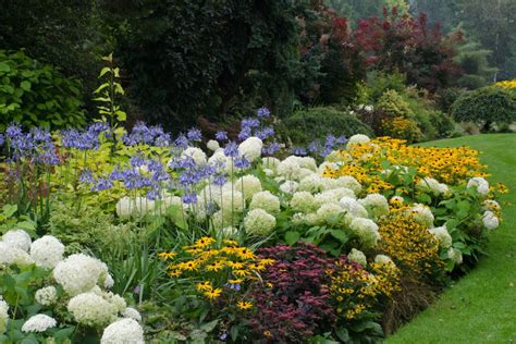 Planter Un Massif De Vivaces Hortus Focus I Mag