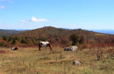 Grayson Highlands State Park And Mt Rogers Hike