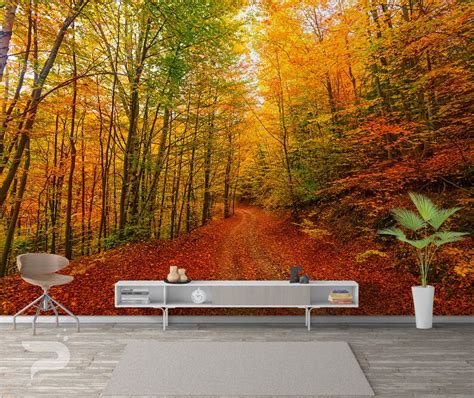 Autumn Forest Path WALL MURAL Colorful Forest Wallpaper | Etsy