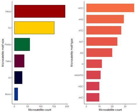 The Distribution Of Microsatellite Motif Sizes And Types In Estrs A