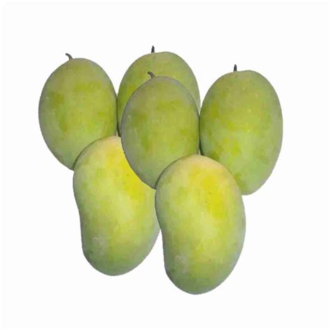 Chaunsa Mangoes – Mangocart