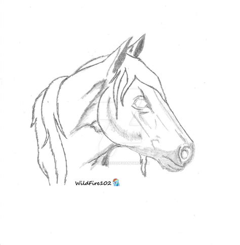 Horse Head Pencil Art Sketch by WildFire102 on DeviantArt