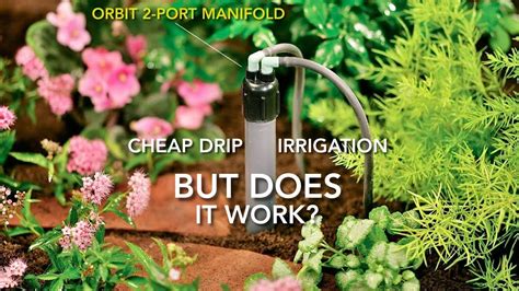 Installing Cheap Orbit Port Drip Irrigation Manifold Youtube