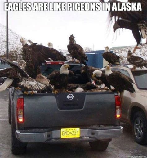 Alaska Memes That Will Make You Never Want to Leave