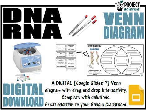 Dna And Rna Digital Venn Diagram Distance Learning Teaching Resources