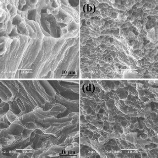 Optical Images Of The Alloys A Alloy E B Alloy E C Alloy