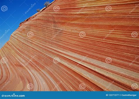 The Wave, Utah 2 stock image. Image of america, undulate - 12271377